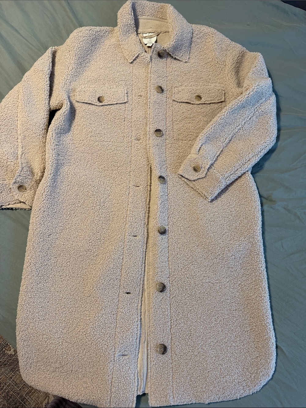 Cozy Long Sherpa Button-Front Coat in Light Beige